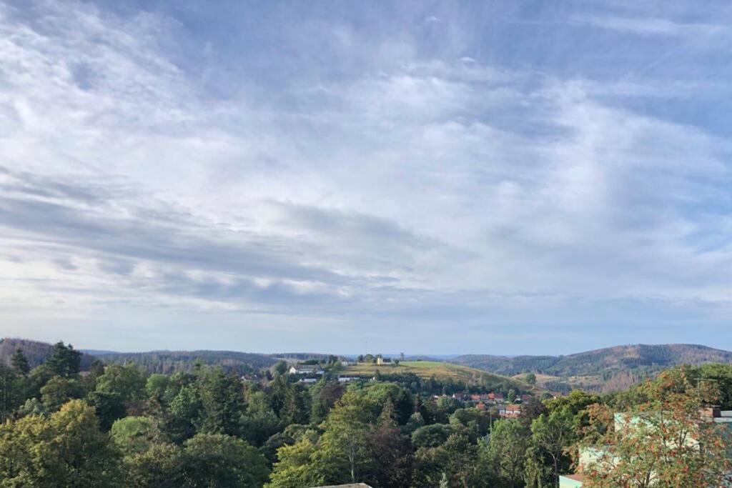 Apartment Harzblick -Neu Modernisiert- Sankt Andreasberg Exteriör bild